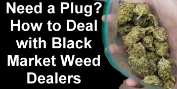 Dealing with Dealers – The Good, the Bad the WTF!