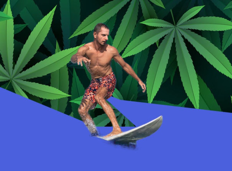 Surfing and weed culture
