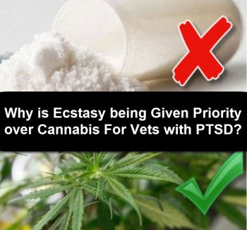 Why Is Ecstasy Being Given Priority Over Cannabis For Vets With PTSD?