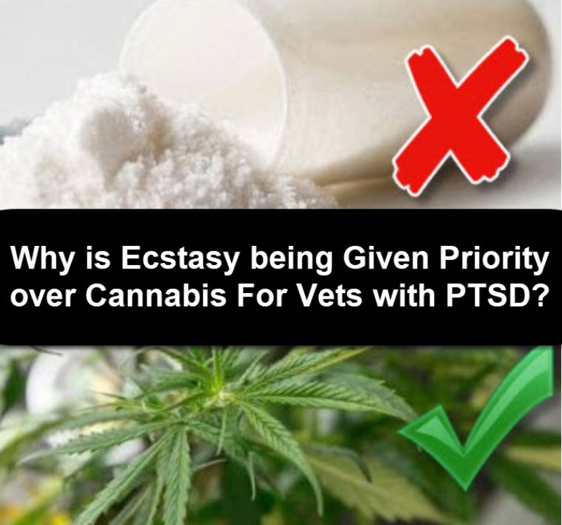 PTSD and Ecstasy