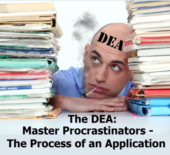 The DEA: Master Procrastinators - The Process of an Application