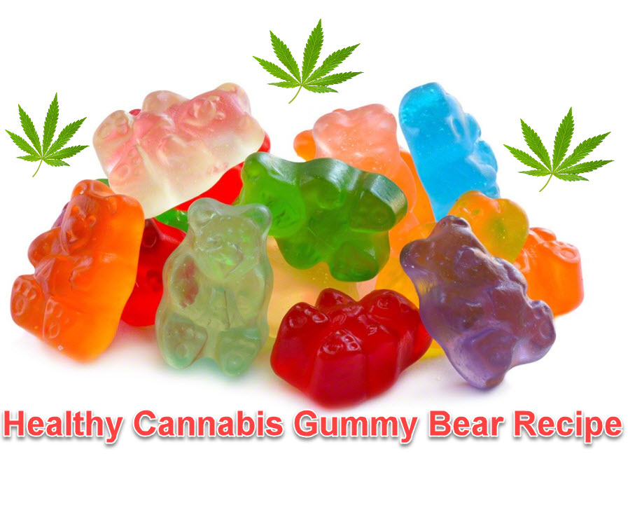 Medium Sized Silicone Gummy Bear Mold by The Modern Gummy with Dropper and Pinch