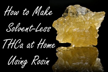How to Make Solvent-Less THCa at Home Using Rosin