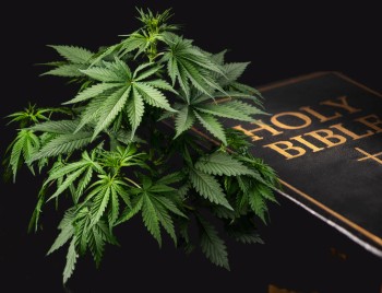 The Church vs. Cannabis Legalization - The Morality of Marijuana Gets Questioned, Again.