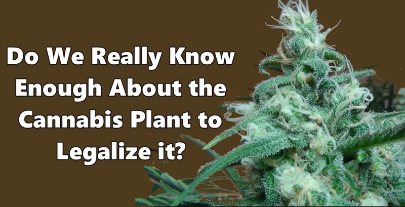 cannabis plant legalize it