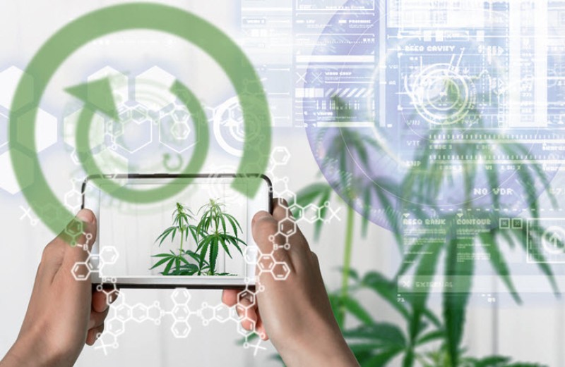 cannabis tech and the evolution