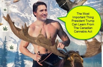 The Most Important Thing The US Can Learn From The Canadian Cannabis Act