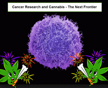 Curing Cancer With Cannabis: Is It True?