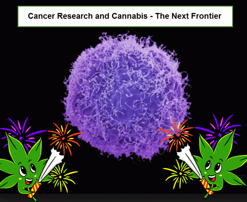 Cancer and Cannabis