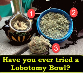 Have You Ever Tried a Cannabis Lobotomy Bowl?