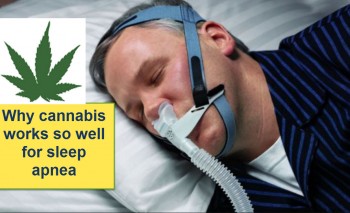 Why Cannabis Works So Well For Sleep Apnea