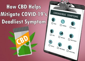 How CBD Helps Mitigate COVID-19’s Deadliest Symptom