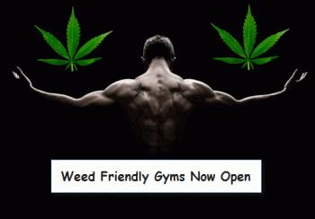 Would You Go To The Gym To Smoke Weed?