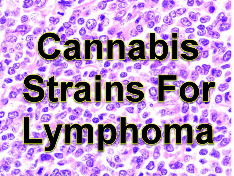 cannabis strains for lymphoma