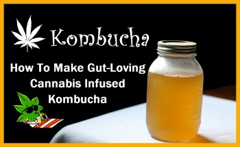 How To Make Gut-Loving Cannabis Infused Kombucha