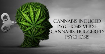Cannabis Induced Psychosis verse Cannabis Triggered Psychosis
