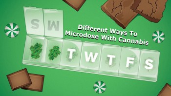 Different Ways To Microdose With Cannabis