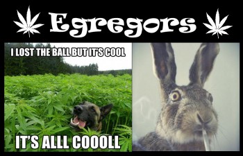 Egregors within Cannabis - The Weed Memes of Our Times