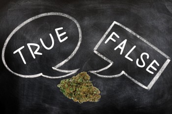 Recreational Cannabis vs Medical Marijuana: Myths vs Facts