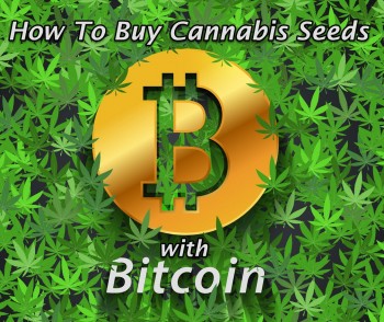 How Do You Buy Cannabis Seeds with Bitcoin?