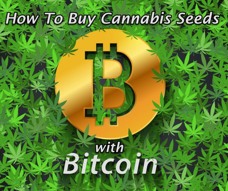 cannabis seeds with Bitcoin
