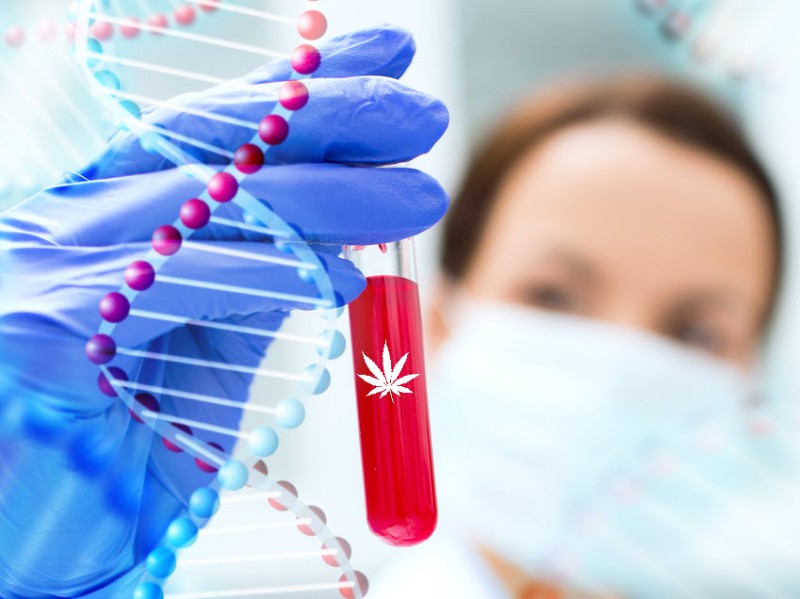 HIV and cannabis research