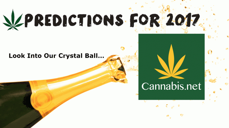 Marijuana Predictions
