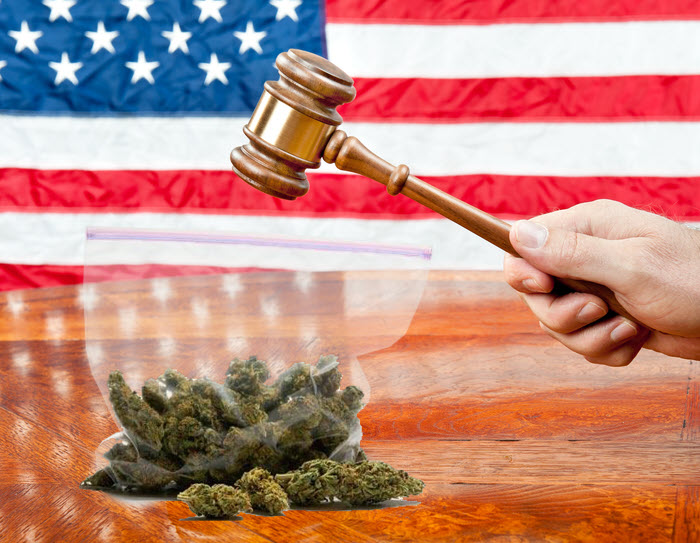 Delta8 THC Is Legal Says Federal Court Panel Big Win for Prohibition