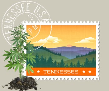 Is Medical Marijuana Dead in Tennessee? - Never Say Never but It Will Take Some Work