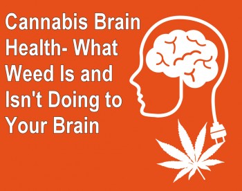 Cannabis Brain Health - What Weed Is and Isn't Doing to Your Brain