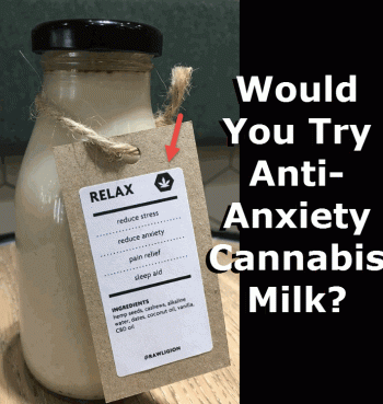 Anti-Anxiety Cannabis Milk Hits The Shelves