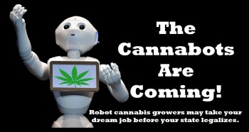 The Robot Cannabis Growers Could Take Your Dream Job Before Your State Even Legalizes Marijuana