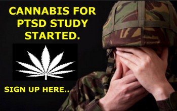 Cannabis For PTSD Study Starts In Arizona