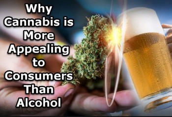 Why Cannabis is More Appealing to Consumers Than Alcohol