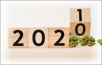 Medical Marijuana Basics for 2021 - How to Properly Medicate Updated for 2021