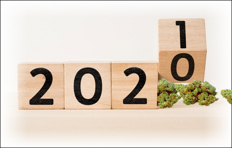cannabis 2021 news