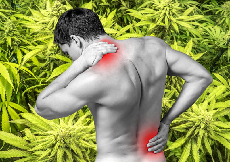 cannabis for osteoarthritis