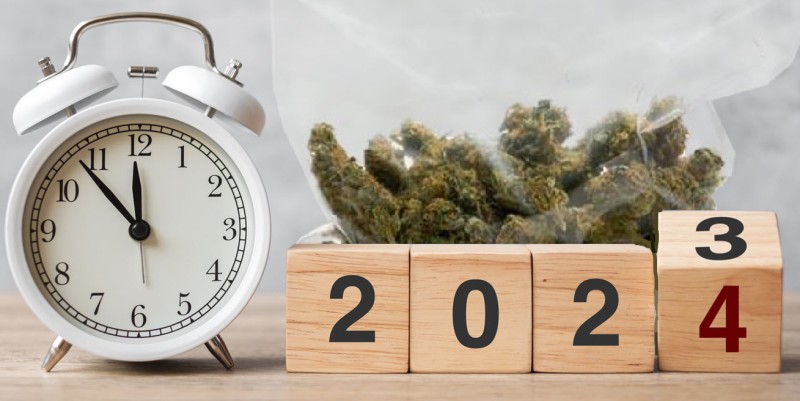 2024 medical marijuana card reasons