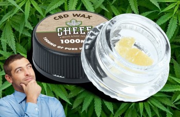 What is CBD Wax and What Do You Need to Know About It?