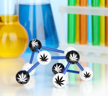 Dr. Raphael Mechoulam Discovers More Potent Lab-Created Cannabinoids Than Natural Cannabis Plants