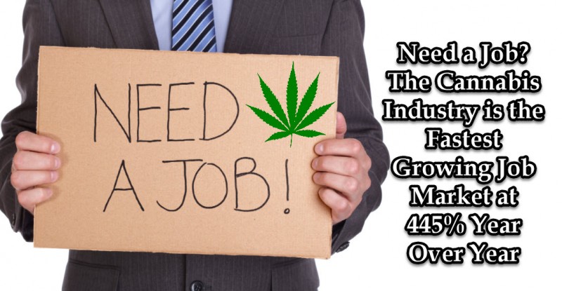 need a job in cannabis