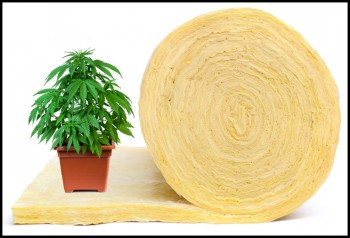 US Government Funding Research on Hemp Fiber Insulation as an Eco-Friendly Alternative