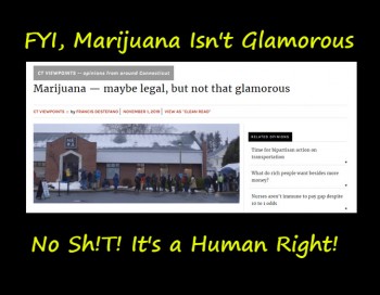 FYI, Marijuana Isn't Glamorous - No Sh!t, It is Not Suppose To Be!