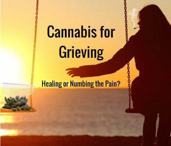 Cannabis for Grief – Healing or Numbing the Pain?