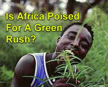 Is Africa Poised For A Green Rush?