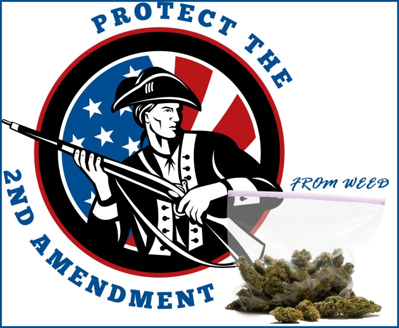 2nd amendment and cannabis use