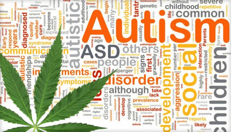 First Cannabis For Autism Test To Begin In Israel
