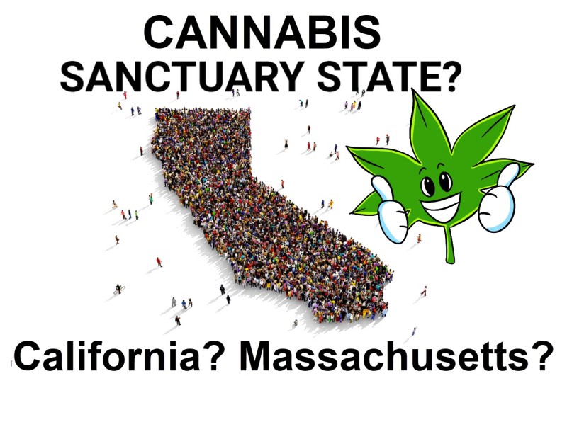 cannabis sanctuary state