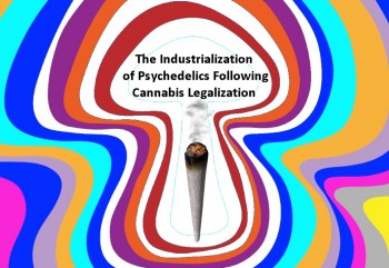The Industrialization of Psychedelics Following Cannabis Legalization