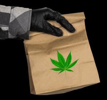 The International Weed Trade is Booming! - Italian Police Intercept over 100 Kilos of Canadian Cannabis